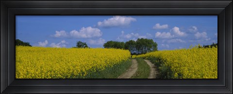 Framed Path in a field, Germany Print