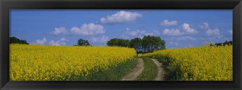 Framed Path in a field, Germany Print