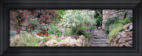 Framed Flowers in a garden, Tossa De Mar, Old town, Costa Brava, Catalonia, Spain Print