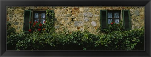 Framed Flowers on a window, Monteriggioni, Tuscany, Italy Print