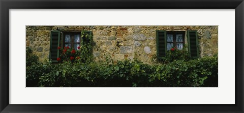 Framed Flowers on a window, Monteriggioni, Tuscany, Italy Print