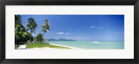 Framed Palm trees on the beach, Penang State, Malaysia Print