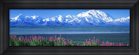 Framed Mountains &amp; Lake Denali National Park AK USA Print