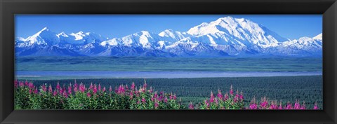 Framed Mountains &amp; Lake Denali National Park AK USA Print