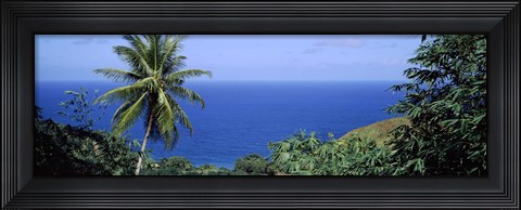 Framed Palm trees on the coast, Tobago, Trinidad And Tobago Print