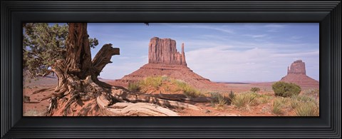Framed Close-Up Of A Gnarled Tree With West And East Mitten, Monument Valley, Arizona, USA, Print