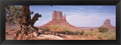 Framed Close-Up Of A Gnarled Tree With West And East Mitten, Monument Valley, Arizona, USA, Print