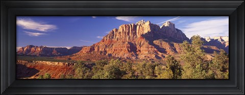 Framed Canyon surrounded with forest, Escalante Canyon, Zion National Park, Washington County, Utah, USA Print