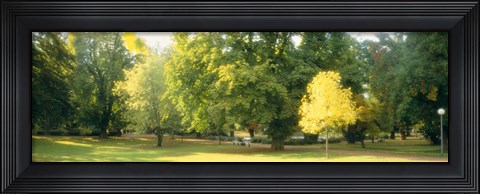 Framed Trees in a park, Wiesbaden, Rhine River, Germany Print