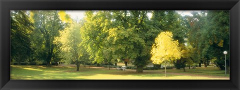 Framed Trees in a park, Wiesbaden, Rhine River, Germany Print