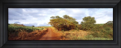 Framed Dirt road passing through a agricultural field, Kauai, Hawaii, USA Print