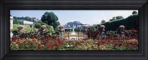 Framed Flowers in a formal garden, Mirabell Gardens, Salzburg, Salzkammergut, Austria Print