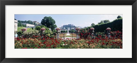 Framed Flowers in a formal garden, Mirabell Gardens, Salzburg, Salzkammergut, Austria Print