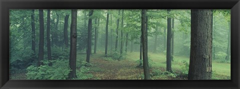 Framed Chestnut Ridge Park, Orchard Park, New York State Print