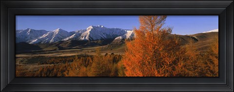 Framed Castle Hill Basin Torlesse Mountains New Zealand Print