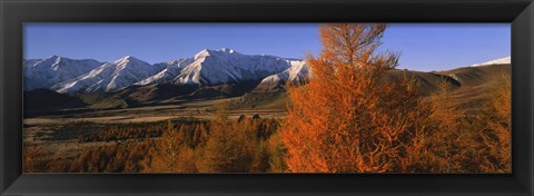 Framed Castle Hill Basin Torlesse Mountains New Zealand Print