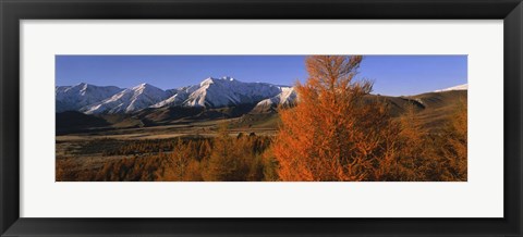 Framed Castle Hill Basin Torlesse Mountains New Zealand Print