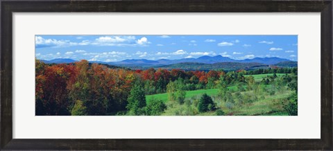 Framed Autumn Trees VT Print