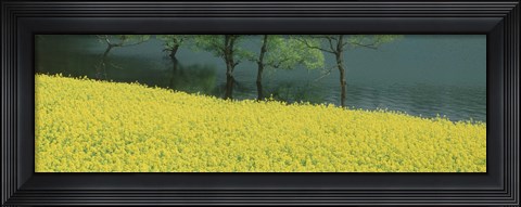 Framed Hakuryu-Ko Nagano Japan Print