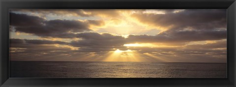 Framed Sunset Sub Antarctic Australia Print