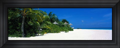 Framed Beach in The Maldives Print