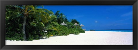 Framed Beach in The Maldives Print