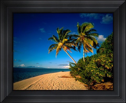 Framed Palm trees and beach, Tahiti French Polynesia Print