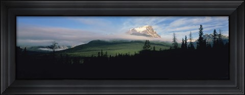 Framed Silhouette of trees with a mountain in the background, Canadian Rockies, Alberta, Canada Print