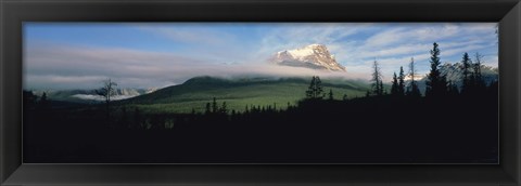 Framed Silhouette of trees with a mountain in the background, Canadian Rockies, Alberta, Canada Print