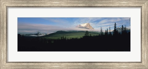 Framed Silhouette of trees with a mountain in the background, Canadian Rockies, Alberta, Canada Print