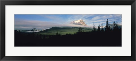 Framed Silhouette of trees with a mountain in the background, Canadian Rockies, Alberta, Canada Print