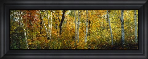 Framed Lac Du Flambeau WI USA Print