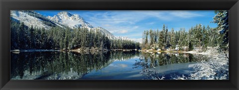 Framed Reflection of trees in a lake, Yellowstone National Park, Wyoming, USA Print
