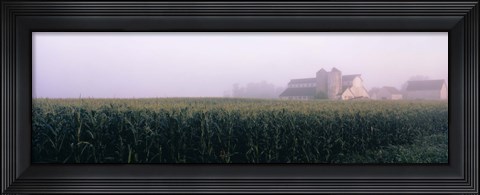 Framed Barn in a field, Illinois, USA Print