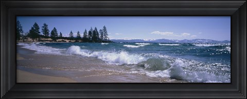 Framed Trees along a lake, Lake Tahoe, Nevada, USA Print