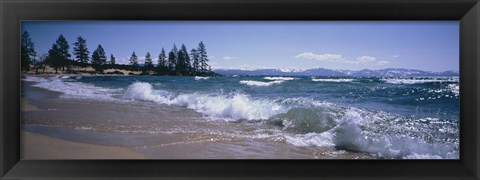 Framed Trees along a lake, Lake Tahoe, Nevada, USA Print