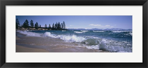 Framed Trees along a lake, Lake Tahoe, Nevada, USA Print