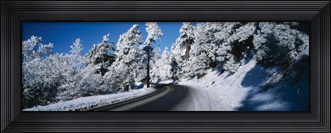 Framed Road passing through a forest, Lake Arrowhead, San Bernardino County, California, USA Print