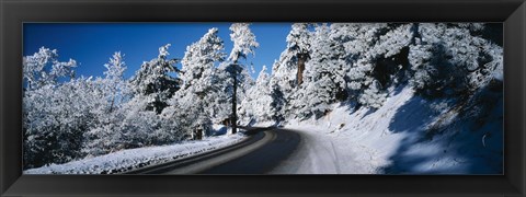Framed Road passing through a forest, Lake Arrowhead, San Bernardino County, California, USA Print