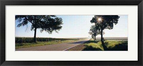 Framed Road passing through fields, Illinois Route 64, Illinois, USA Print