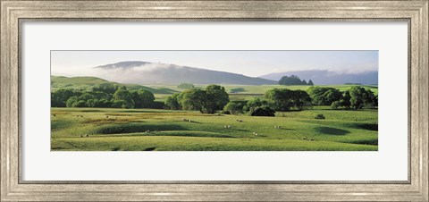 Framed Farmland Southland New Zealand Print