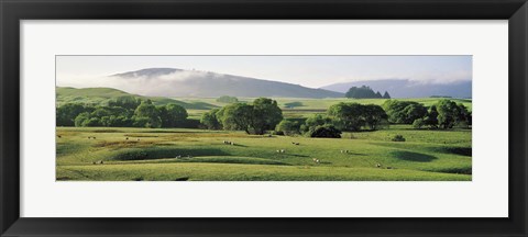 Framed Farmland Southland New Zealand Print