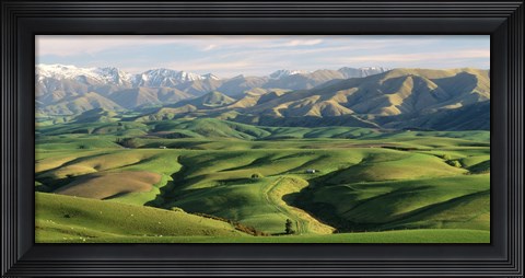 Framed Farmland S Canterbury New Zealand Print