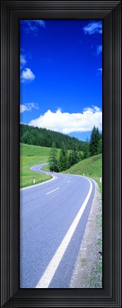 Framed Wildflowers in a field, Tyrol, Austria Print