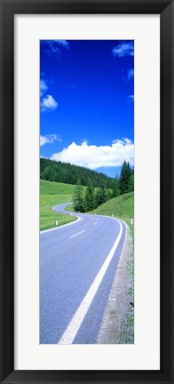 Framed Wildflowers in a field, Tyrol, Austria Print