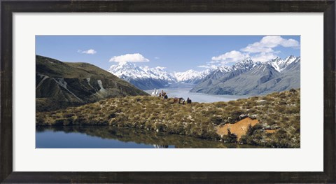 Framed Horse Trekking Mt Cook New Zealand Print