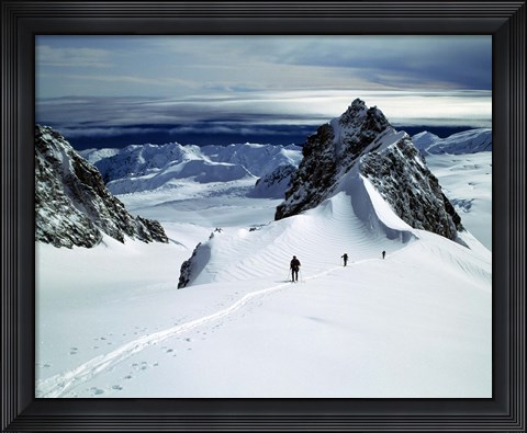Framed Upper Fox Glacier Westland NP New Zealand Print