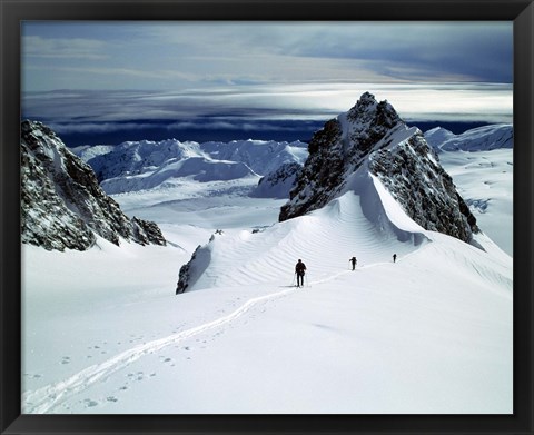 Framed Upper Fox Glacier Westland NP New Zealand Print