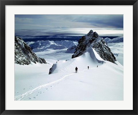 Framed Upper Fox Glacier Westland NP New Zealand Print