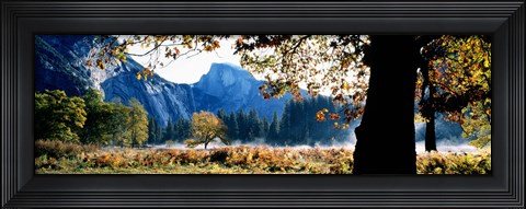 Framed Half Dome, Yosemite National Park, California, USA Print